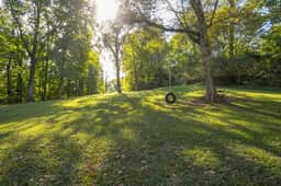 An old fashioned tire swing for the kiddos!