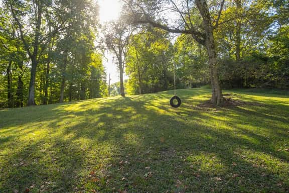 An old fashioned tire swing for the kiddos!